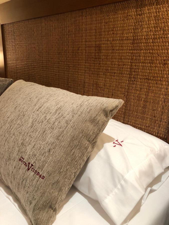 Hotel V.Ciudad Aranda de Duero Eksteriør billede