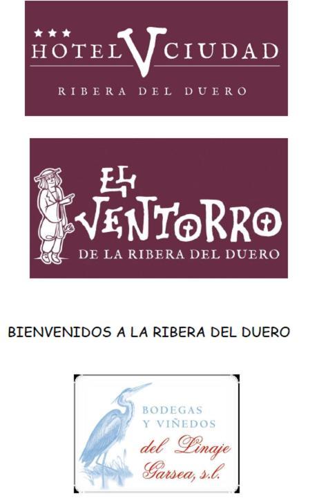 Hotel V.Ciudad Aranda de Duero Eksteriør billede